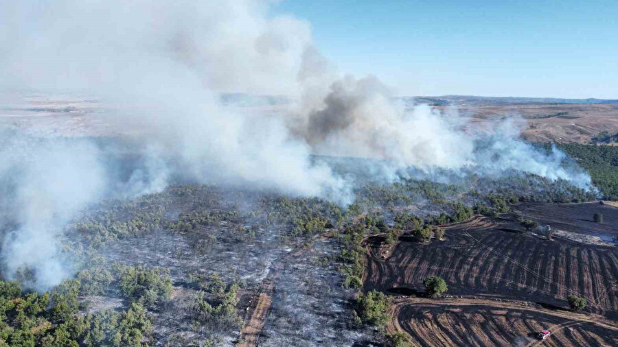 Çorum’da tarım arazisindeki yangın ormanlık alana sıçradın