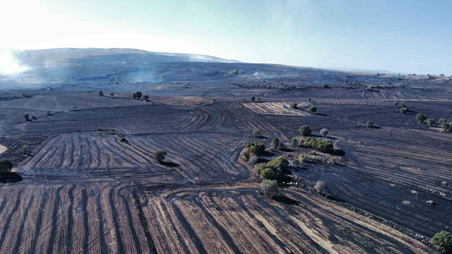 Çorum’da tarım arazisindeki yangın ormanlık alana sıçradın