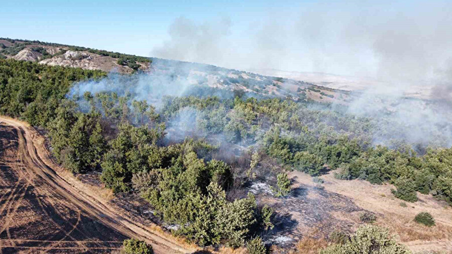 Çorum’da tarım arazisindeki yangın ormanlık alana sıçradın