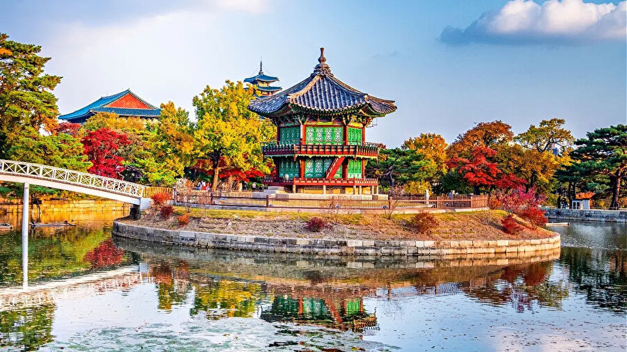 Güney Kore'de yalnızlık