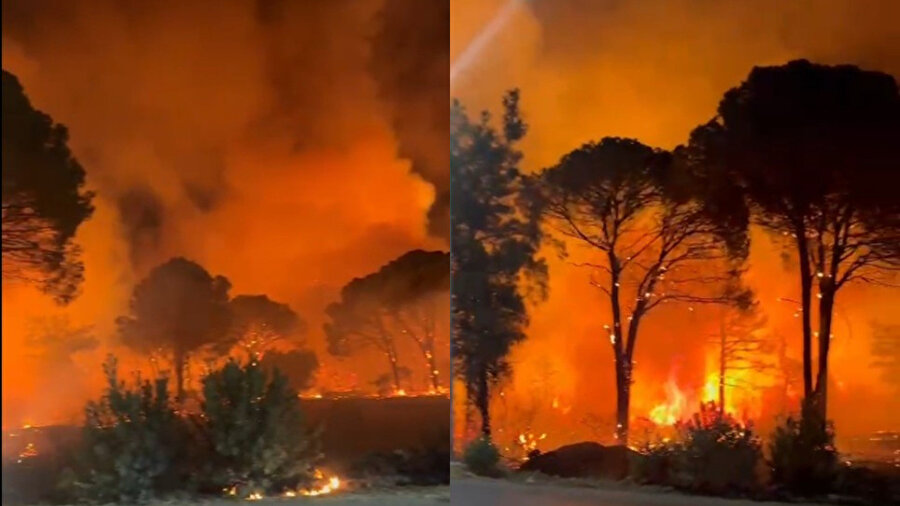 Antalya Aksu’da ormanlık alanda yangın