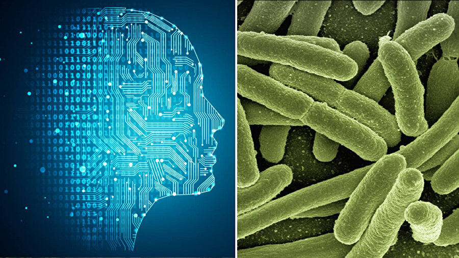 Yapay zeka tedavi buldu