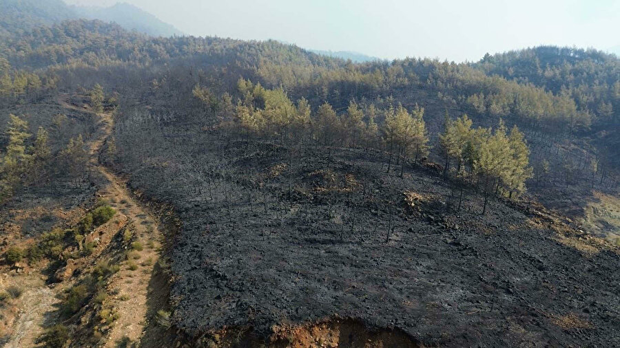 Muğla ve Antalya orman yangınlarında son durum