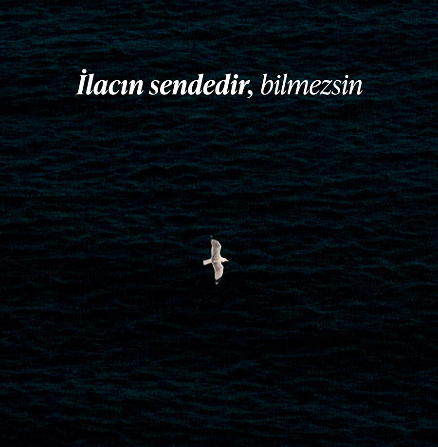 Hz. Ali'den insanın içindeki kâinata dair