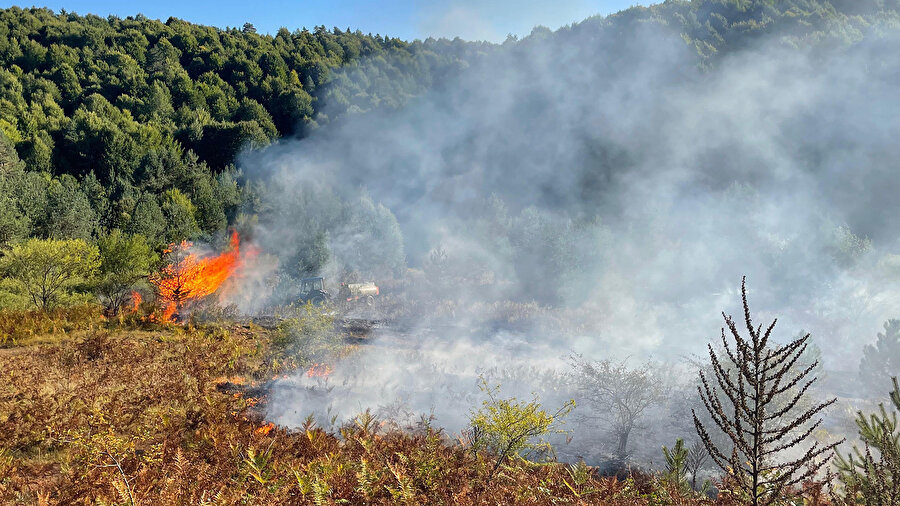 Bilecik'te arazide başlayıp ormanlık alana sıçrayan yangın kontrol altına alındı