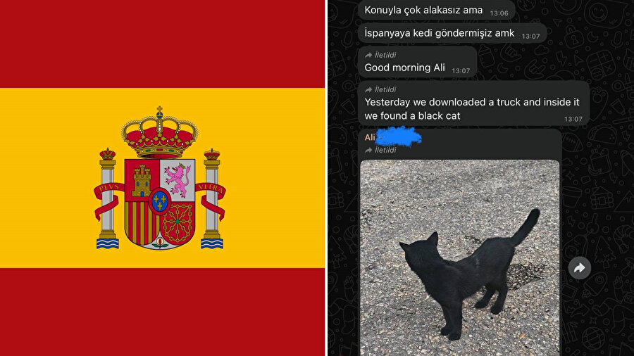 Tırın arkasına gizlenen kedi İspanya'ya gitti.