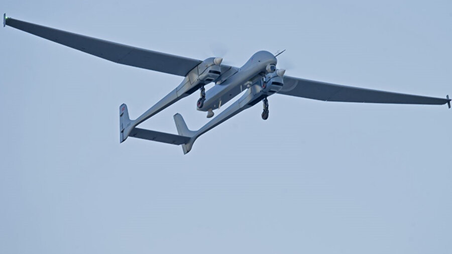 Şehidimizin adını taşıyor: Aksungur'un özellikleri neler?​