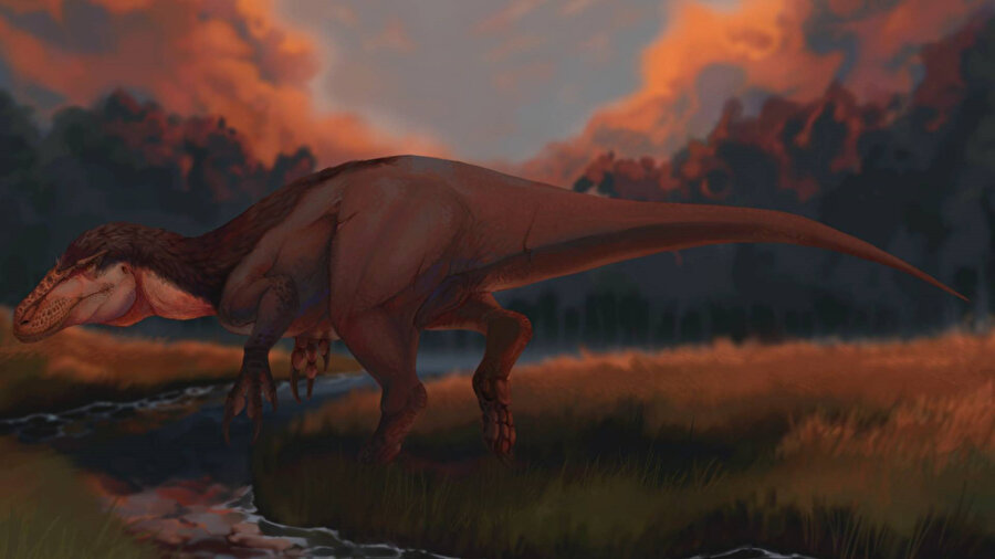 Yeni bir dinazor türü keşfedildi