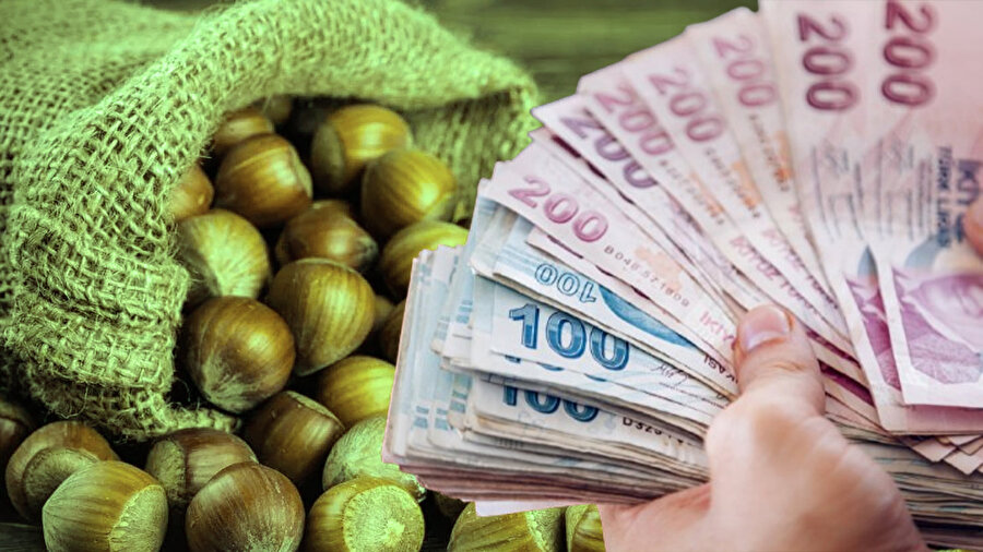 Fındık fiyatları yükseliyor || Serbest piyasada fındık fiyatları ne kadar oldu? Fındık fiyatları 400 TL’ye çıkar mı?