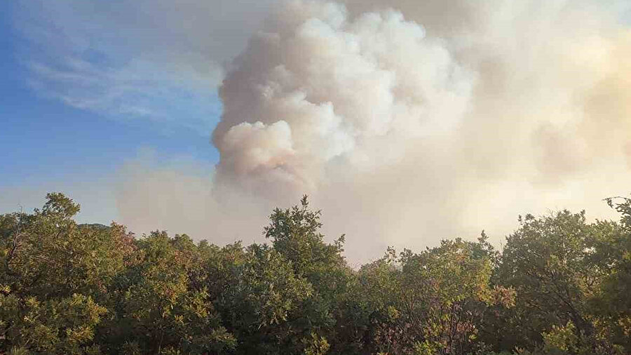 Konya'da sazlık alandaki yangın ormana sıçradı