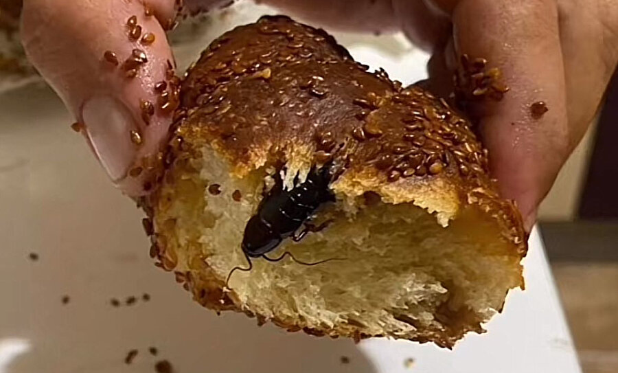 Poğaçadan çıkan iğrendirdi