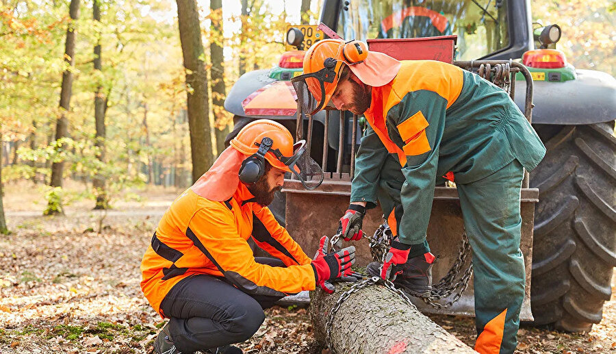 Orman Genel Müdürlüğü 262 daimi işçi alacak: OGM başvuru tarihleri ne zaman başlıyor?