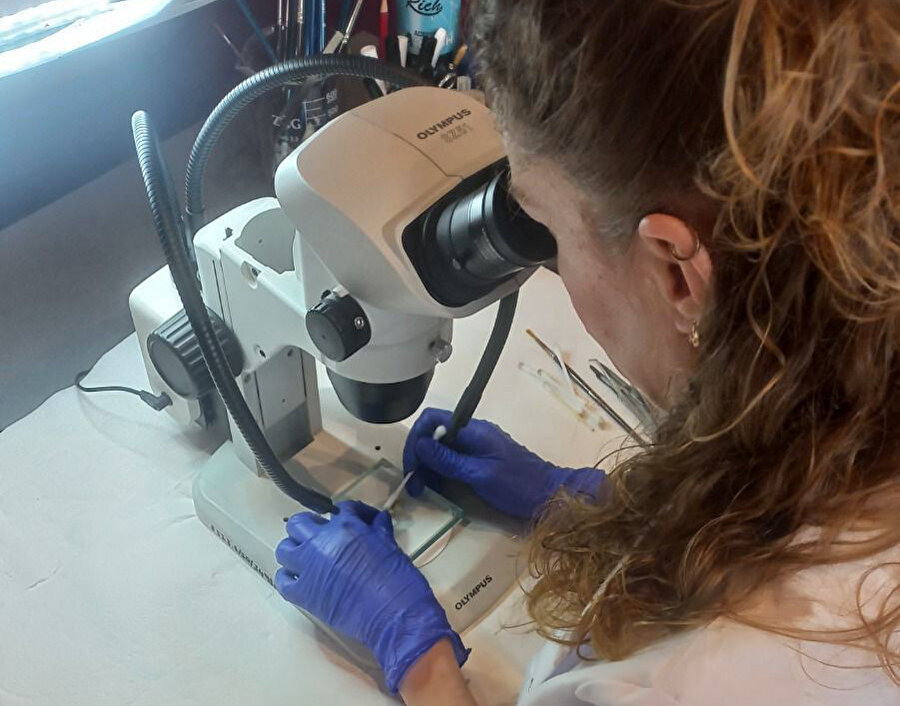 Troya'da son yüzyılın en önemli keşiflerinden biri yapıldı