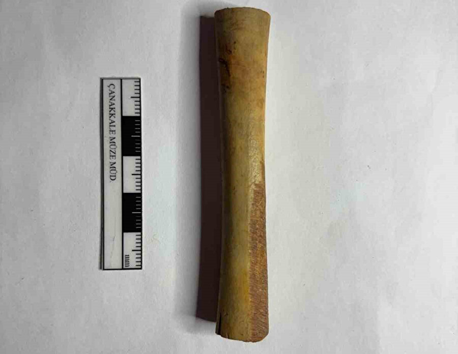 Troya'da son yüzyılın en önemli keşiflerinden biri yapıldı