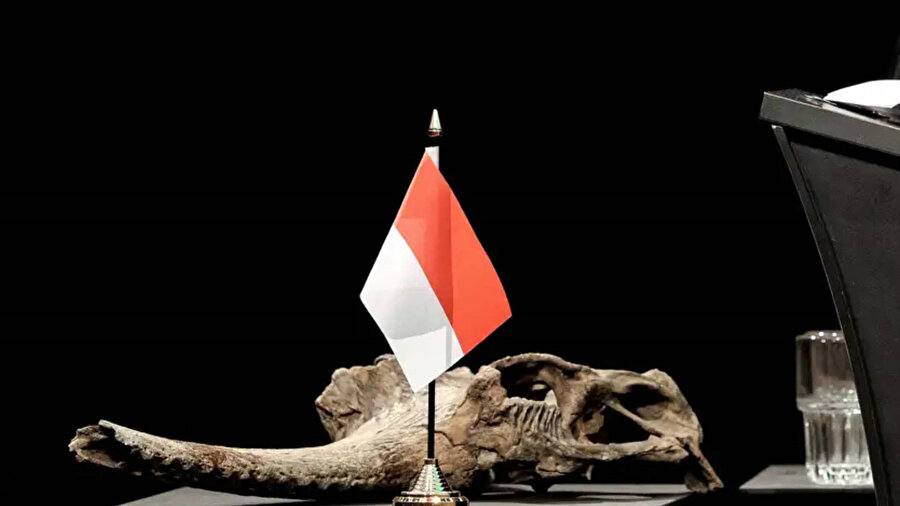 Birçok önemli fosilin Endonezya’ya iade edileceğini açıklandı.

​