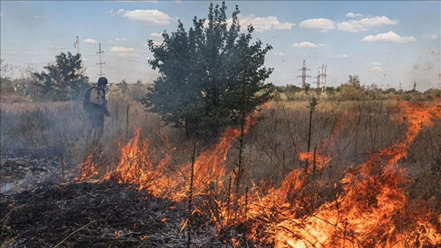 Namibya Etosha Milli Parkı'nda Pazartesi günü bir yangın çıktı.