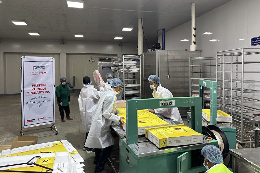 Yeryüzü Doktorları