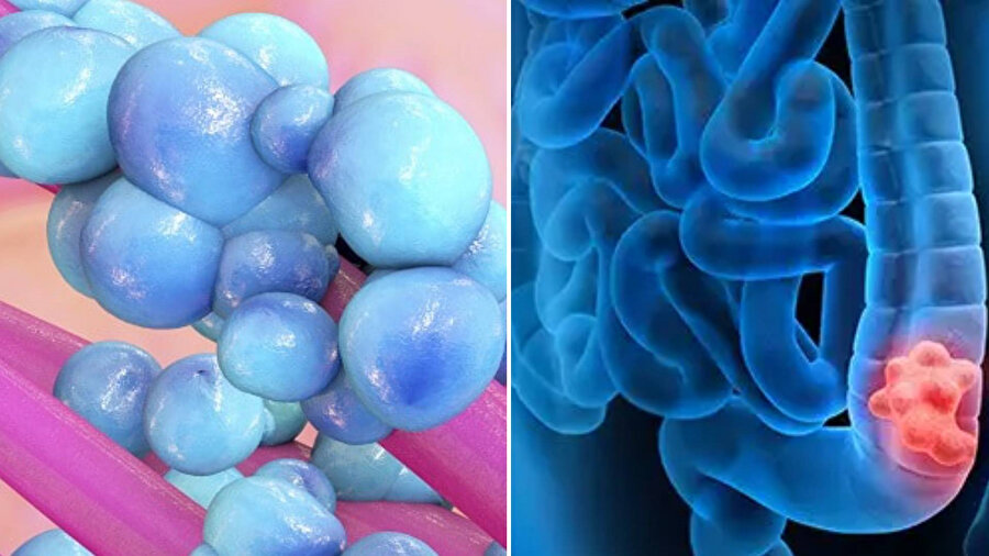 DNA üzerinde mutasyonlara yol açarak kanser gelişimini tetikliyor
​