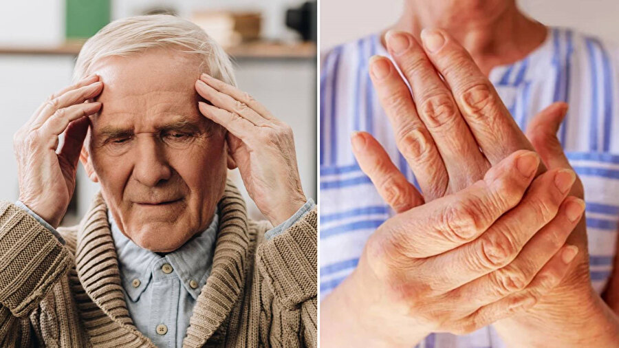 Alzheimer ve Parkinson Hastalığı 