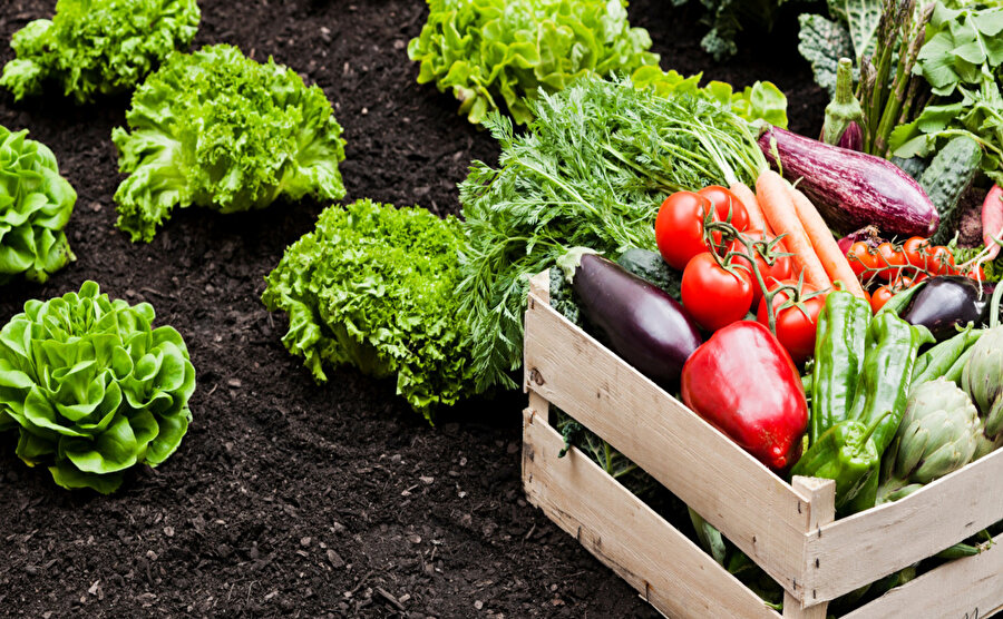 Tarım ürünlerin ülkeye girişine ilişkin düzenleme yapıldı.