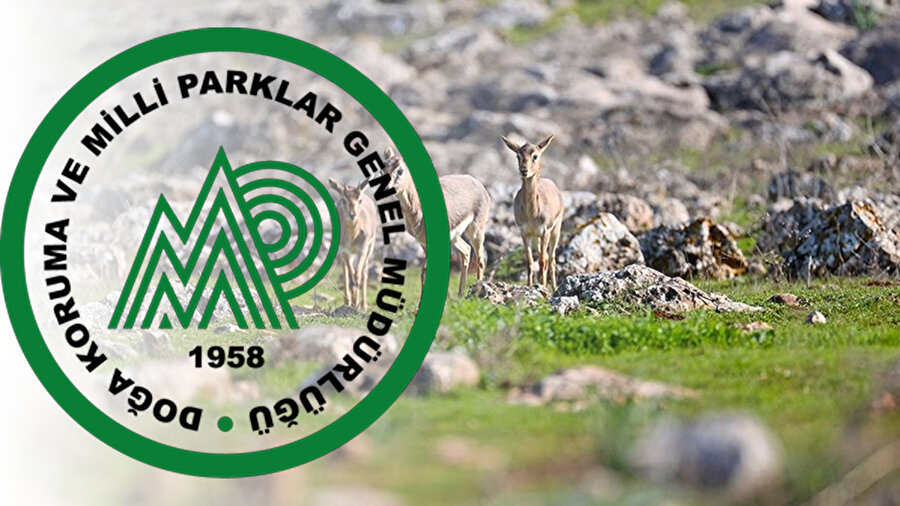 Doğa Koruma ve Milli Parklar Genel Müdürlüğü 240 Yeni Personel Alımı Yapacak | Başvuru Şartları ve Kadro Dağılımı Belli Oldu