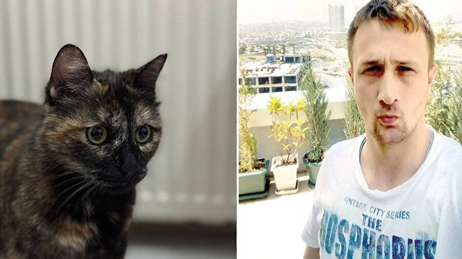 Başakşehir'de kediye işkence davasında karar