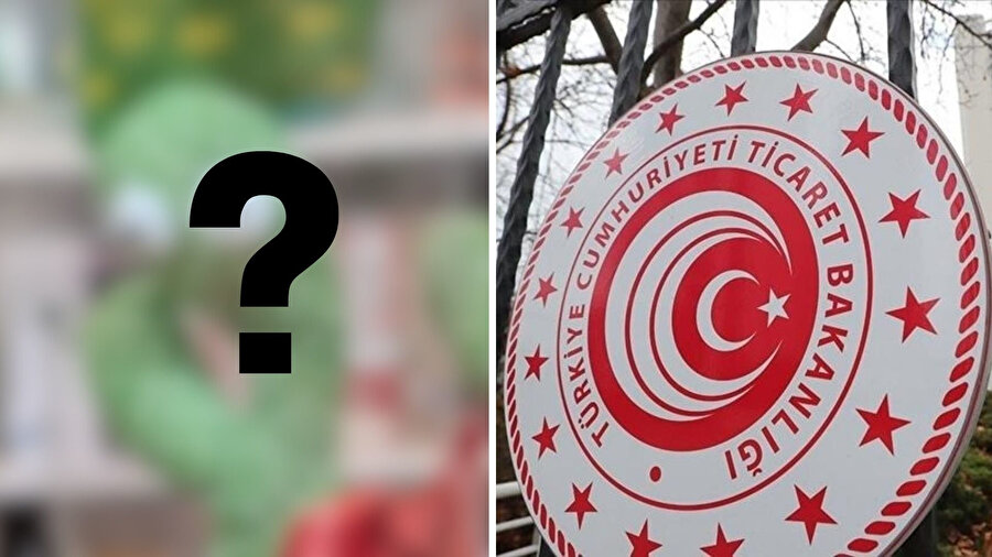 Popüler çocuk oyuncağı piyasadan toplatılıyor.