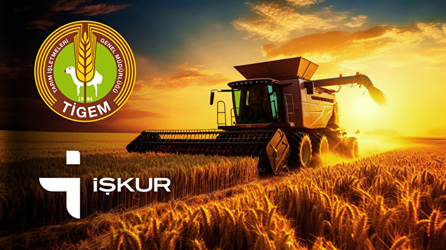 TİGEM mevsimlik işçi başvuru erkanı: Tarım İşletmeleri Müdürlüğü 50 işçi kadro dağılımı ve başvuru şartları neler?