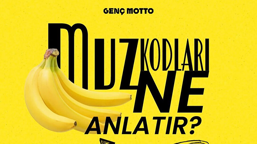 Arşiv
