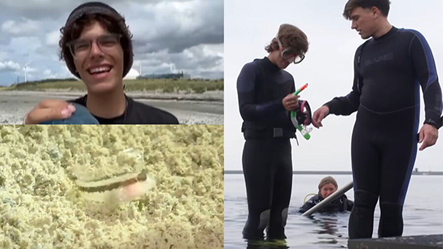 Genç doğa tutkunun keşfi, hem sosyal medyada hem de deniz biyologları arasında büyük ilgi uyandırdı.