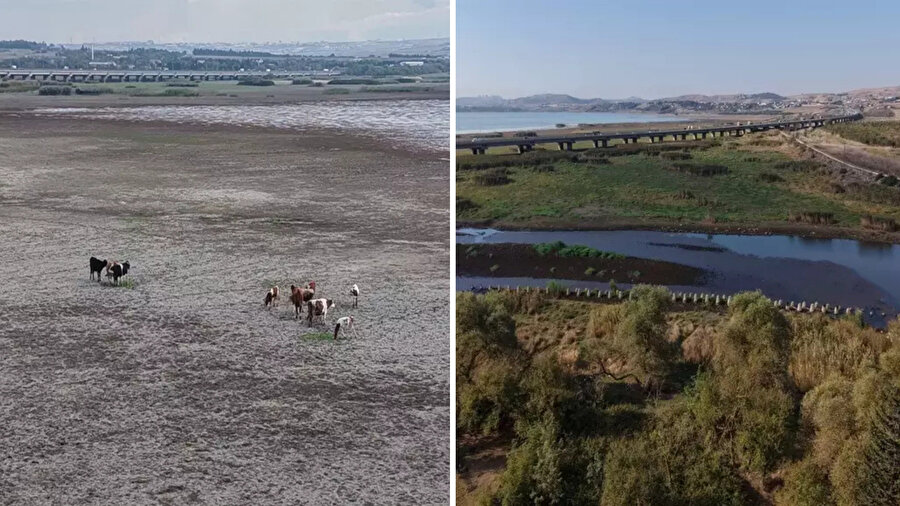 İstanbul'un barajlarında doluluk oranı yüzde 25'in altına düştü
