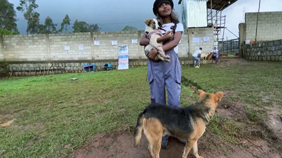 Etiyopya’da Feven Melese, başkent Addis Ababa’nın sokak köpeklerine umut oluyor.