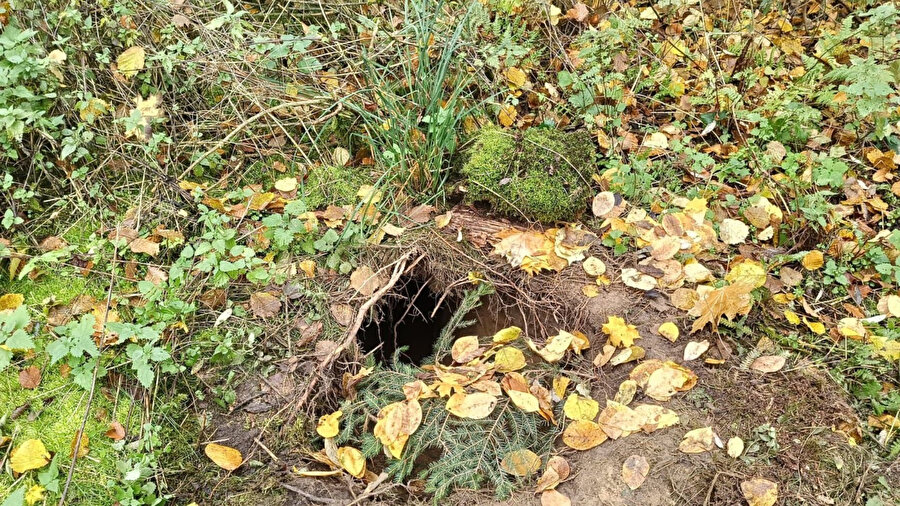 Polonya sınırında Belarus tarafına açılan gizli bir tünel daha keşfedildi. 
