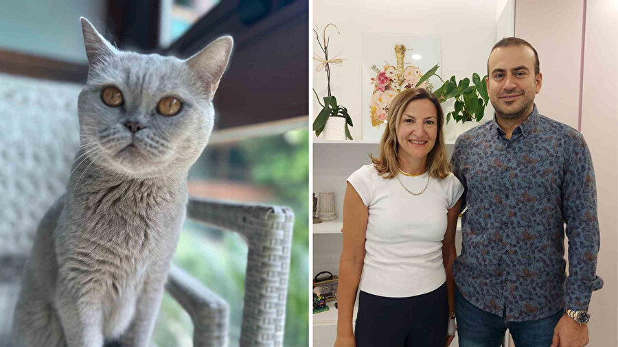 Meme kanserinde şansı kedisi oldu