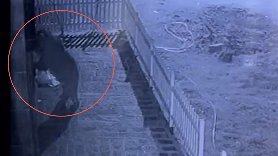 Kapıyı hırsız zorluyor sandı