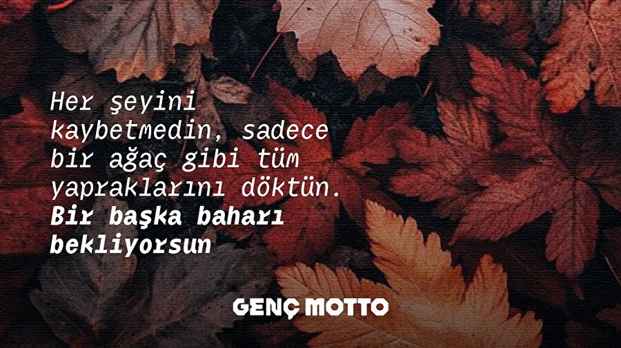 Arşiv