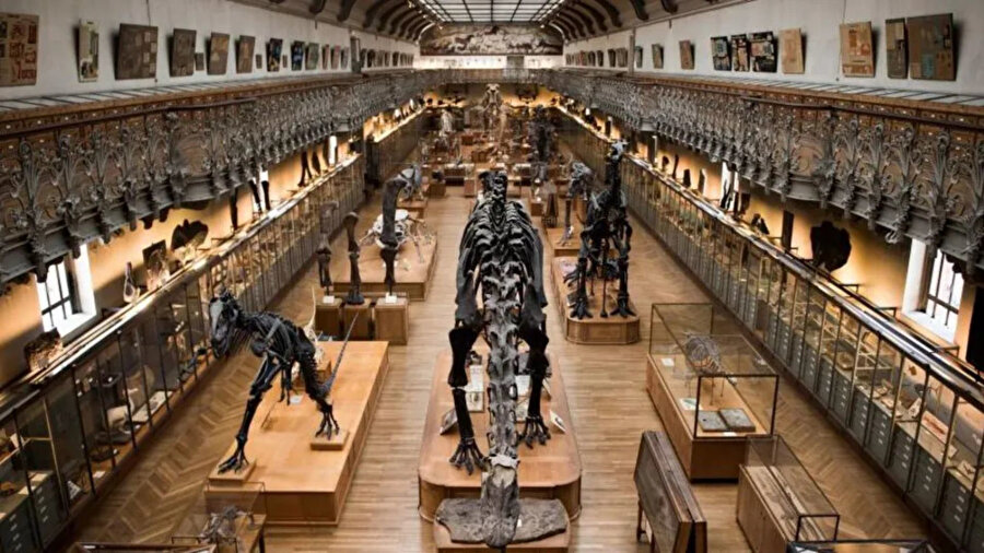 Doğa Tarihi Müzesi