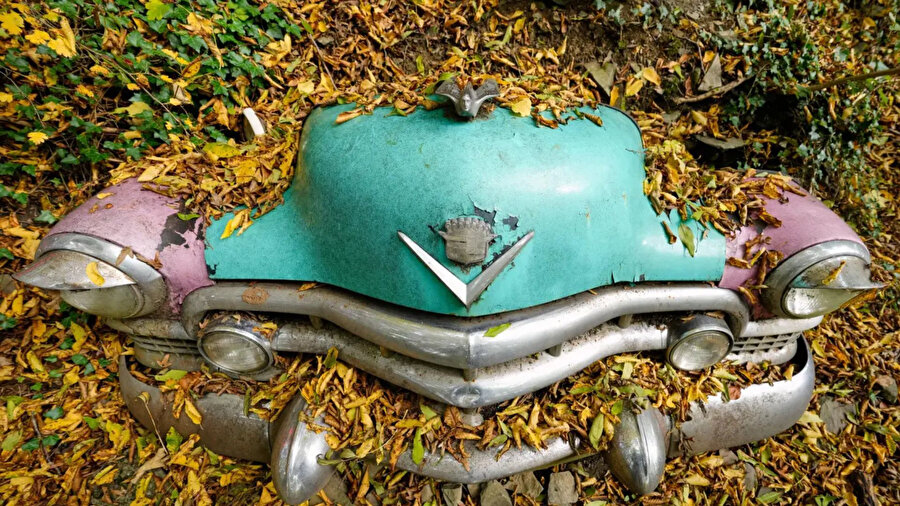 Benzersiz bir doğum günü hediyesi: Kendisine araba mezarlığı kurdu