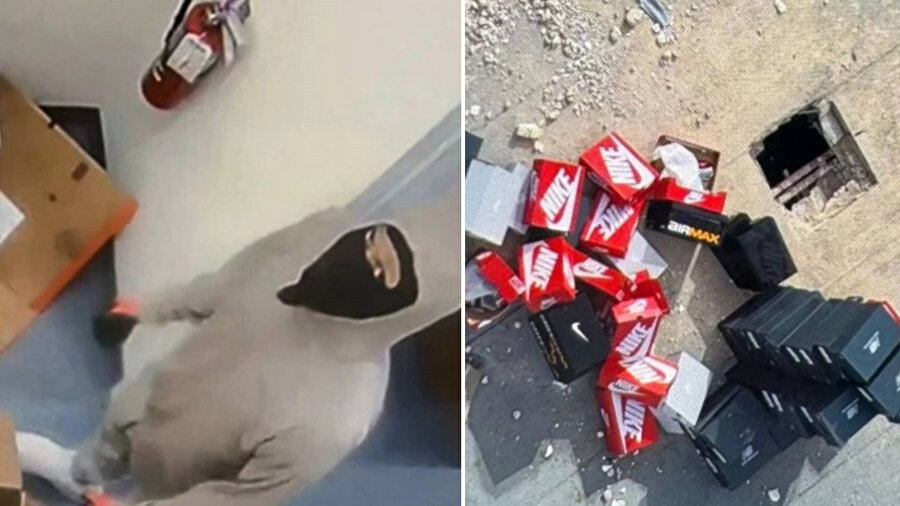 Soygunun değeri yaklaşık 50 bin dolar olarak açıklandı.