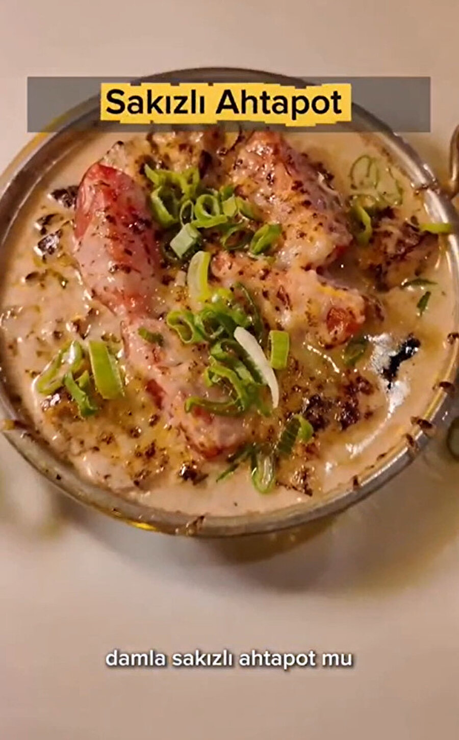 Mehmet Şef Sosyal Medya