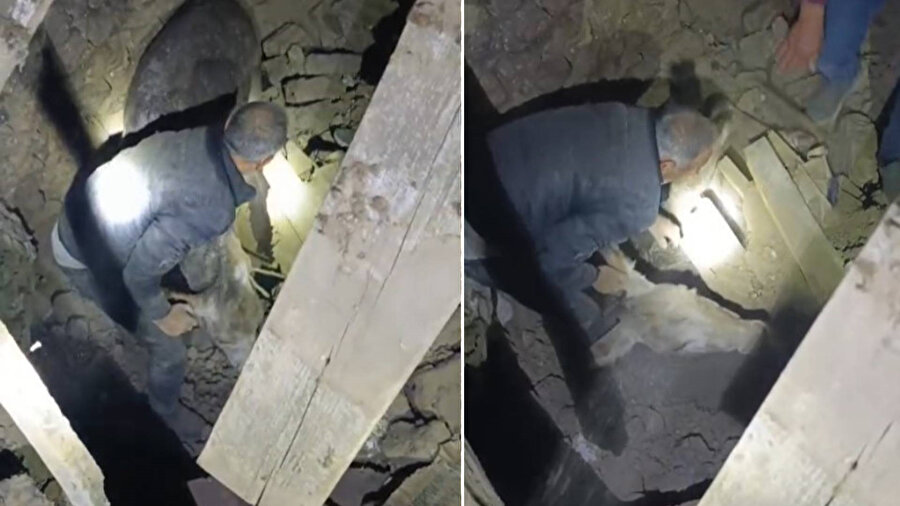 Sındırgı’da enkaz altında kalan eşek canlı kurtarıldı