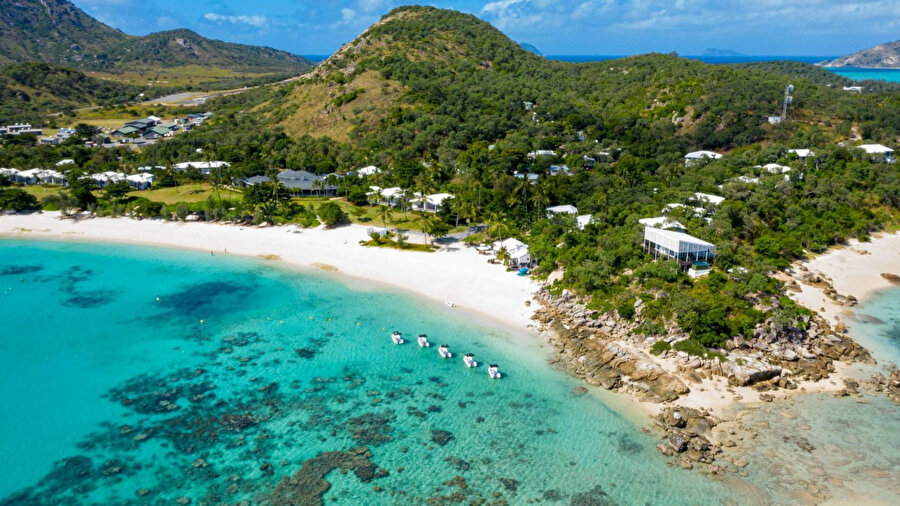 Lizard Adası - ​Avustralya