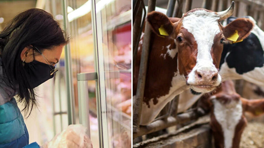 Ölümcül hastalık yıllar sonra Türkiye'de: Deli dana vakaları endişe yarattı! Uzmanlardan kritik uyarı