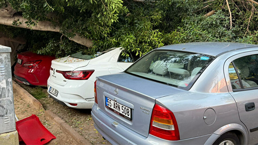 Antalya’da 30 yıllık ağaç 5 aracın üzerine devrildi