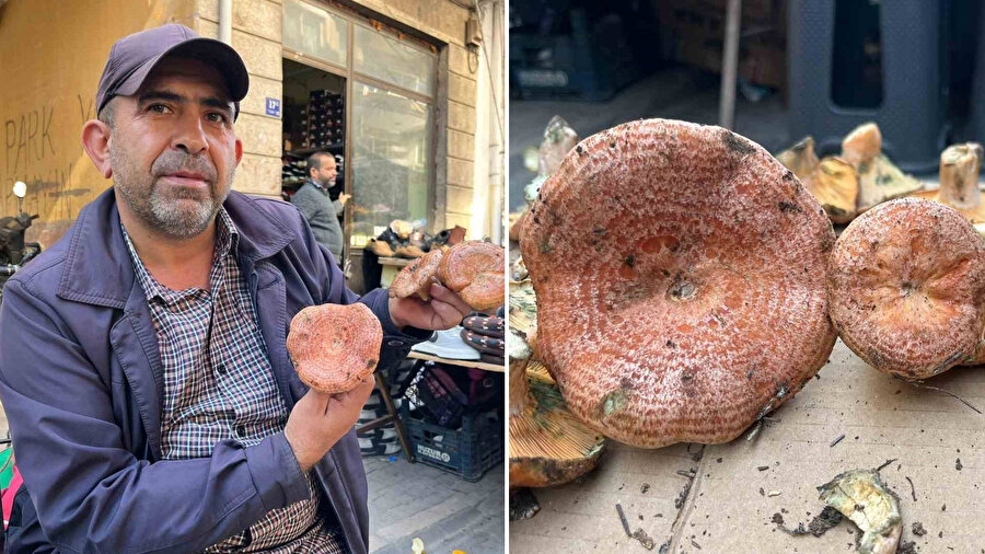 Tezgahlarda yerini aldı: Et kadar değerli... Kilosu 500 TL