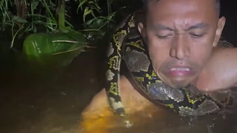 Rehber Heru, yılanın boynuna dolanmasıyla ölümle burun buruna geldi. 