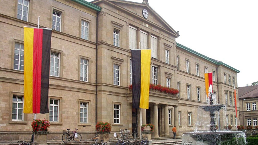 Güney Almanya’daki bir üniversitenin bodrumunda kahverengi örümcek görüldü