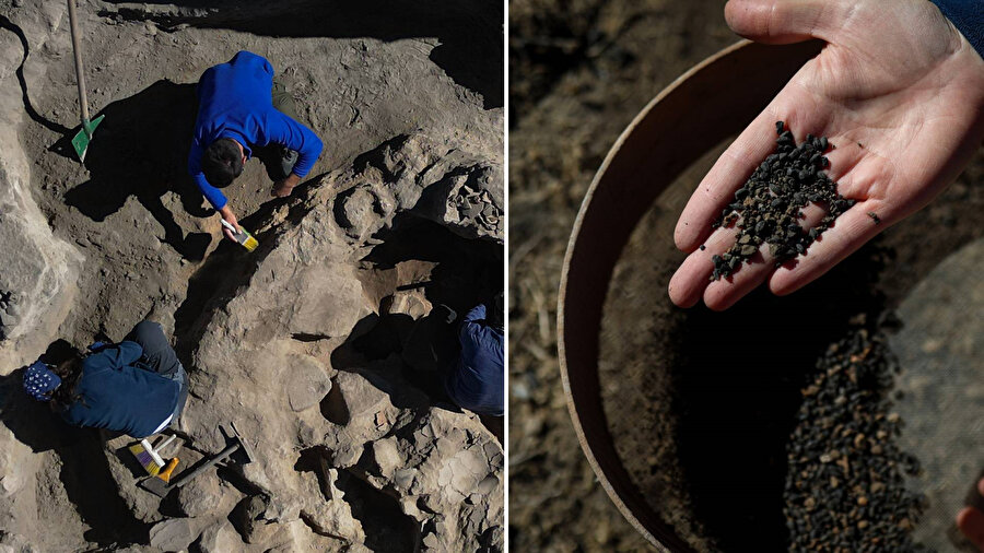 Van'daki kazılarda 5 bin yıllık olduğu değerlendirilen karbonlaşmış arpa taneleri bulundu.