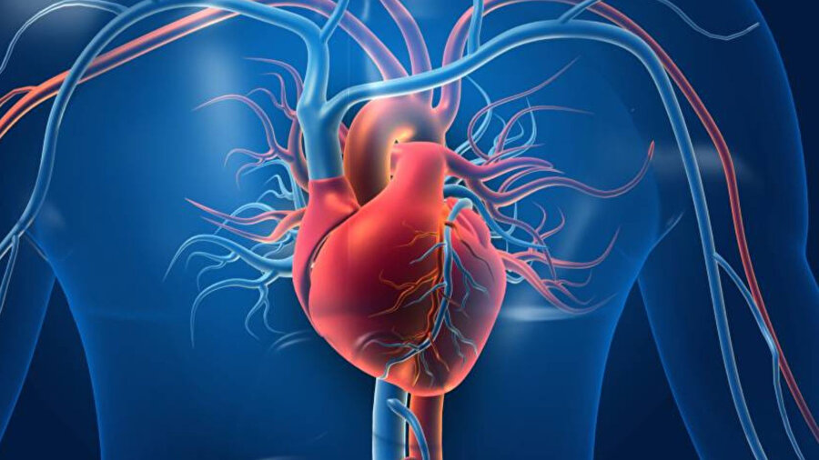 Doktorlardan uyarı: Kalp sağlığı için bu vitamin şart