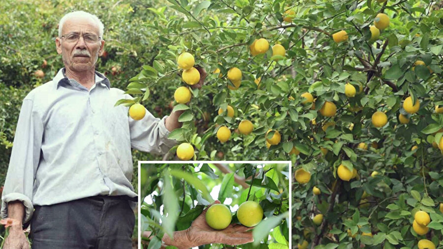Bu köyde her şey mümkün! Fırat’ın kıyısında Akdeniz esintisi, Karadeniz bereketi: Görenler şaşkına döndü